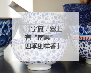 宁夏：塞上有“南果” 四季别样香