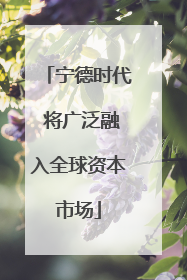 宁德时代 将广泛融入全球资本市场