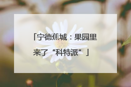 宁德蕉城：果园里来了“科特派”