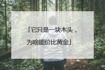 它只是一块木头，为啥能价比黄金