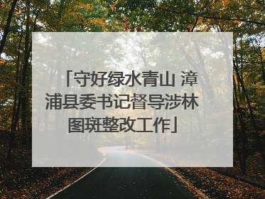 守好绿水青山 漳浦县委书记督导涉林图斑整改工作