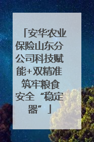 安华农业保险山东分公司科技赋能+双精准 筑牢粮食安全“稳定器”