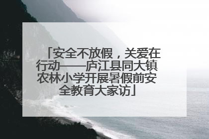 安全不放假，关爱在行动——庐江县同大镇农林小学开展暑假前安全教育大家访