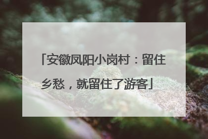 安徽凤阳小岗村：留住乡愁，就留住了游客
