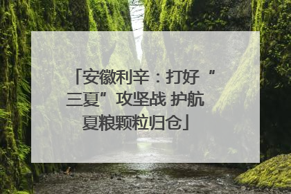 安徽利辛：打好“三夏”攻坚战 护航夏粮颗粒归仓