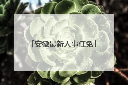 安徽最新人事任免