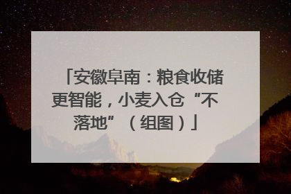 安徽阜南：粮食收储更智能，小麦入仓“不落地”（组图）