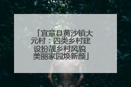 宜章县黄沙镇大元村：四类乡村建设扮靓乡村风貌 美丽家园焕新颜