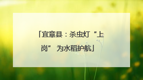 宜章县：杀虫灯“上岗” 为水稻护航