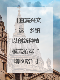 宜宾兴文：这一乡镇以创新种植模式拓宽“增收路”