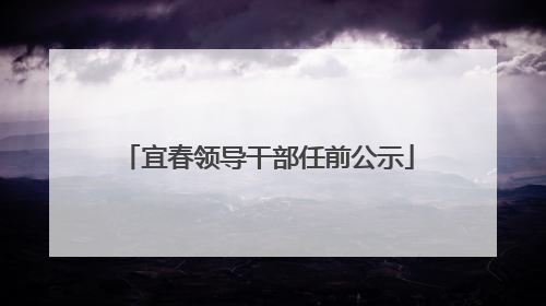 宜春领导干部任前公示