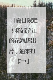 夏日限定！杨浦滨江的花海超出片，速来打卡→