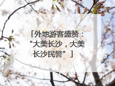 外地游客盛赞：“大美长沙，大美长沙民警”