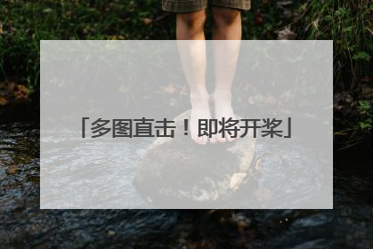 多图直击！即将开桨