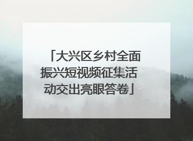 大兴区乡村全面振兴短视频征集活动交出亮眼答卷