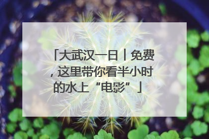 大武汉一日︱免费，这里带你看半小时的水上“电影”