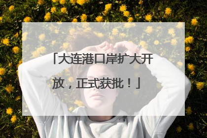 大连港口岸扩大开放，正式获批！