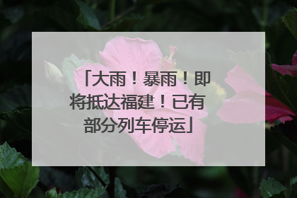 大雨！暴雨！即将抵达福建！已有部分列车停运