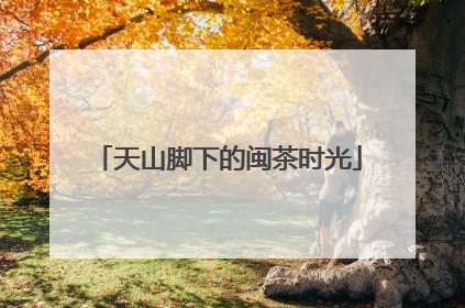 天山脚下的闽茶时光