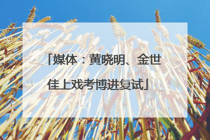 媒体：黄晓明、金世佳上戏考博进复试