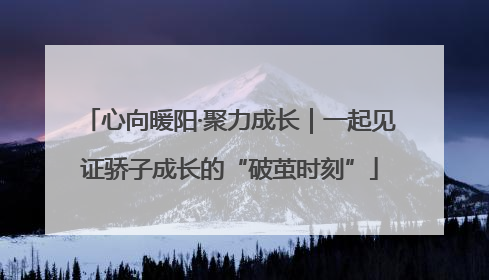 心向暖阳·聚力成长｜一起见证骄子成长的“破茧时刻”
