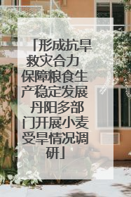 形成抗旱救灾合力 保障粮食生产稳定发展 丹阳多部门开展小麦受旱情况调研