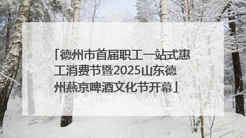 德州市首届职工一站式惠工消费节暨2025山东德州燕京啤酒文化节开幕