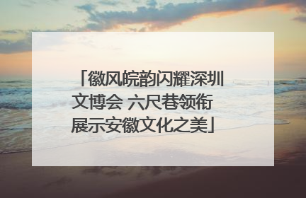 徽风皖韵闪耀深圳文博会 六尺巷领衔展示安徽文化之美