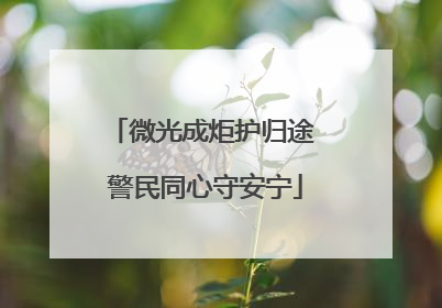微光成炬护归途 警民同心守安宁