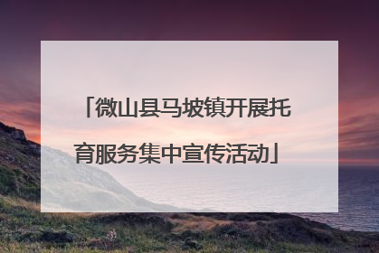 微山县马坡镇开展托育服务集中宣传活动
