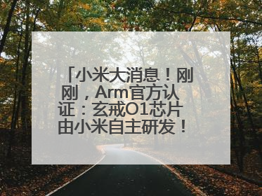 小米大消息！刚刚，Arm官方认证：玄戒O1芯片由小米自主研发！雷军此前称已开始大规模量产
