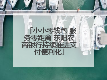 小小零钱包 服务零距离 东阳农商银行持续推进支付便利化