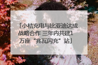 小桔充电与比亚迪达成战略合作 三年内共建1万座“兆瓦闪充”站