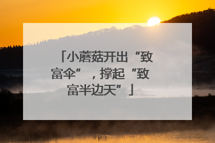 小蘑菇开出“致富伞”，撑起“致富半边天”