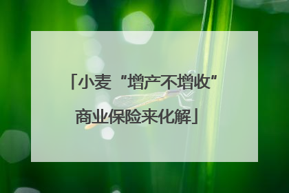 小麦“增产不增收” 商业保险来化解
