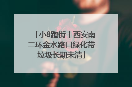 小8跑街丨西安南二环金水路口绿化带垃圾长期未清