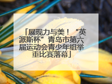 展现力与美！“英派斯杯”青岛市第六届运动会青少年组举重比赛落幕