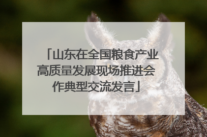 山东在全国粮食产业高质量发展现场推进会作典型交流发言