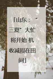 山东：“三夏”大忙将开始 机收减损在田间