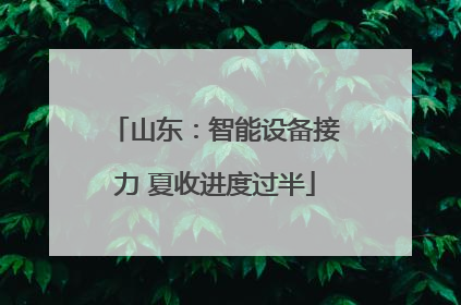 山东：智能设备接力 夏收进度过半