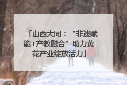 山西大同：“非遗赋能+产教融合”助力黄花产业绽放活力