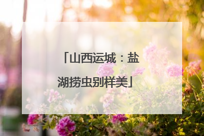 山西运城：盐湖捞虫别样美