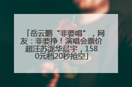 岳云鹏“非要唱”，网友：非要挣！演唱会票价超汪苏泷华晨宇，1580元档20秒抢空