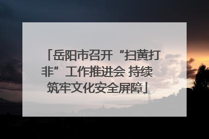 岳阳市召开“扫黄打非”工作推进会 持续筑牢文化安全屏障