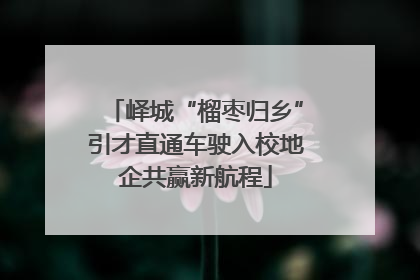 峄城“榴枣归乡”引才直通车驶入校地企共赢新航程