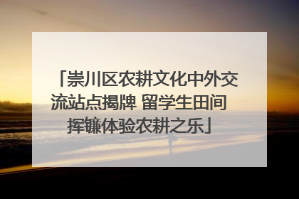 崇川区农耕文化中外交流站点揭牌 留学生田间挥镰体验农耕之乐