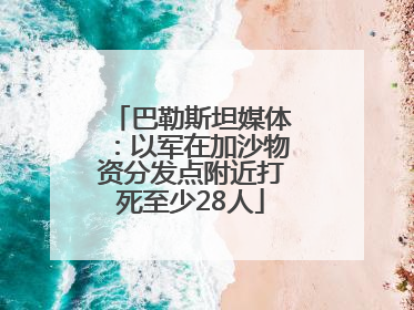 巴勒斯坦媒体：以军在加沙物资分发点附近打死至少28人