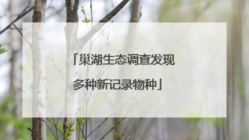 巢湖生态调查发现多种新记录物种