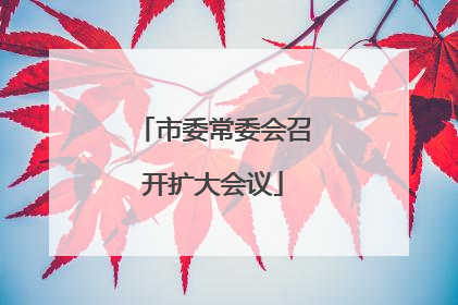 市委常委会召开扩大会议
