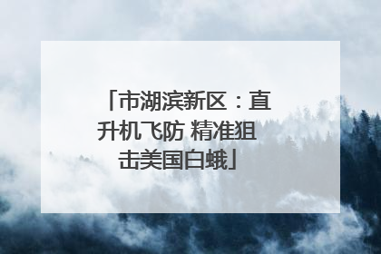市湖滨新区：直升机飞防 精准狙击美国白蛾